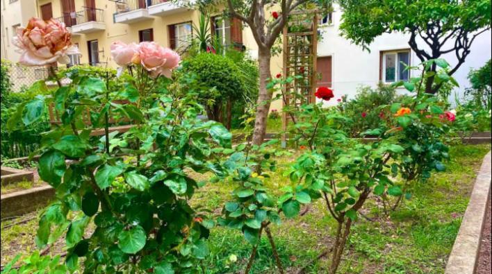 Ferienwohnung L'Avenir Du Ray Nizza Exterior foto